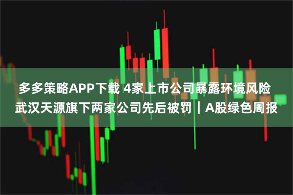 多多策略APP下载 4家上市公司暴露环境风险 武汉天源旗下两家公司先后被罚｜A股绿色周报