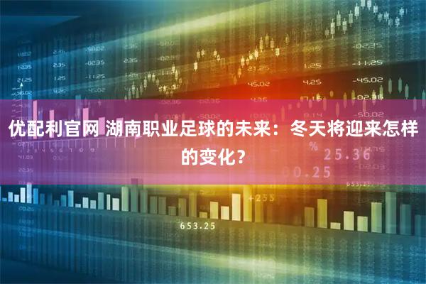 优配利官网 湖南职业足球的未来：冬天将迎来怎样的变化？