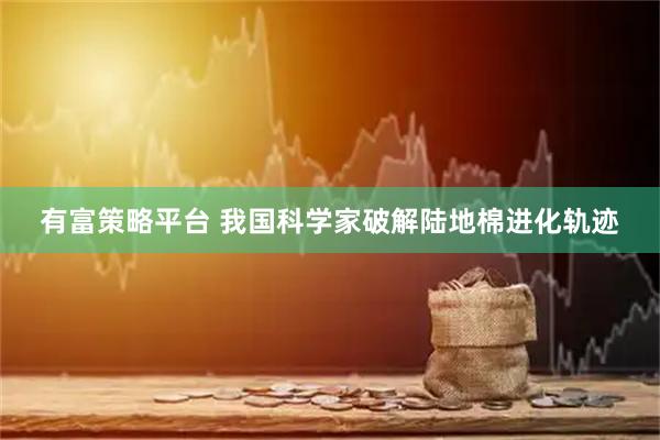有富策略平台 我国科学家破解陆地棉进化轨迹