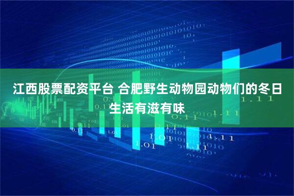 江西股票配资平台 合肥野生动物园动物们的冬日生活有滋有味