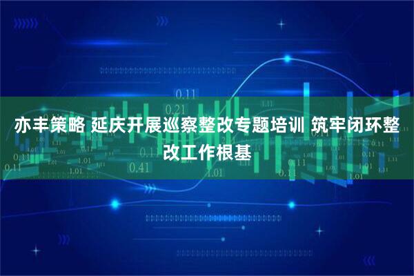 亦丰策略 延庆开展巡察整改专题培训 筑牢闭环整改工作根基