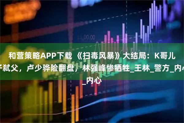 和营策略APP下载 《扫毒风暴》大结局：K哥儿子弑父，卢少骅险翻盘，林强峰惨牺牲_王林_警方_内心