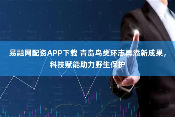 易融网配资APP下载 青岛鸟类环志再添新成果，科技赋能助力野生保护